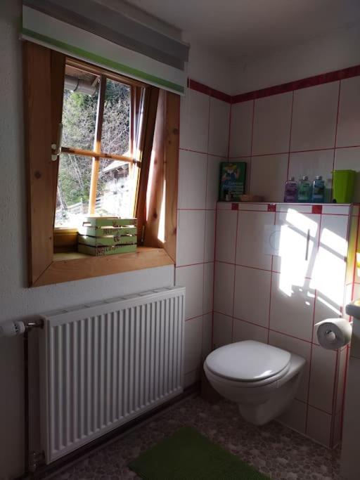 Fw Schnuckel In 300a Altem Bergbauernhaus 1110m Apartment